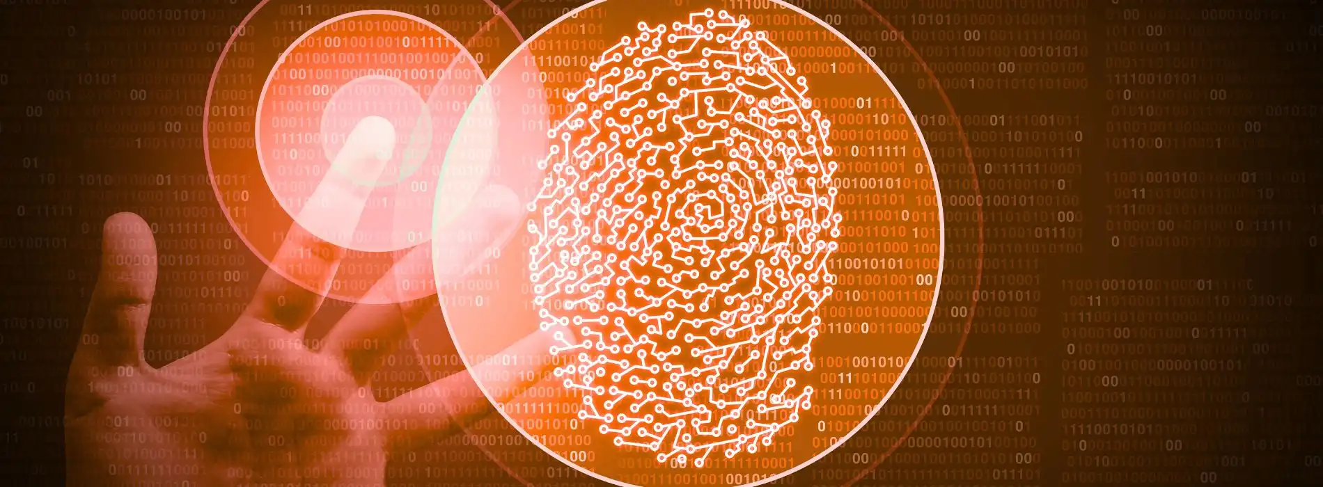 Création & Identité visuelle Agence51